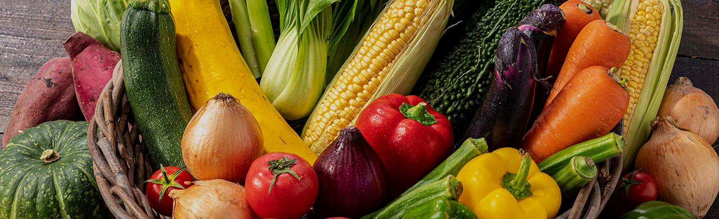 ガーデンパパ~親父にもできる♪プランターを使った家庭菜園~